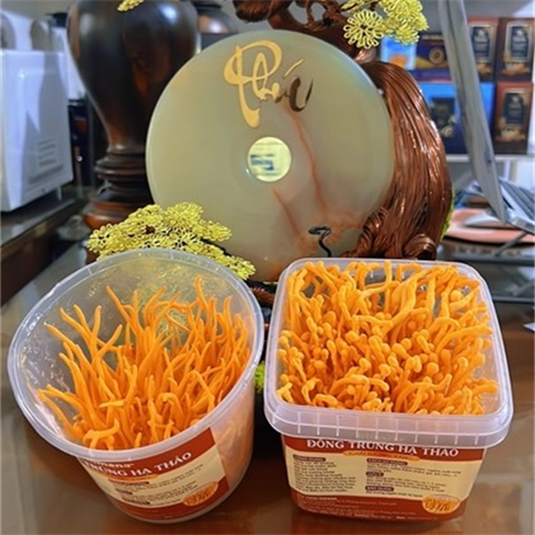 Đông trùng hạ thảo tươi Hộp vuông – Hộp 210g (cả đế)