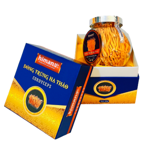 Đông trùng hạ thảo sấy khô thăng hoa {Loại 1- 20gram} (Vỏ hộp giấy cứng có vải lụa vàng bên trong)
