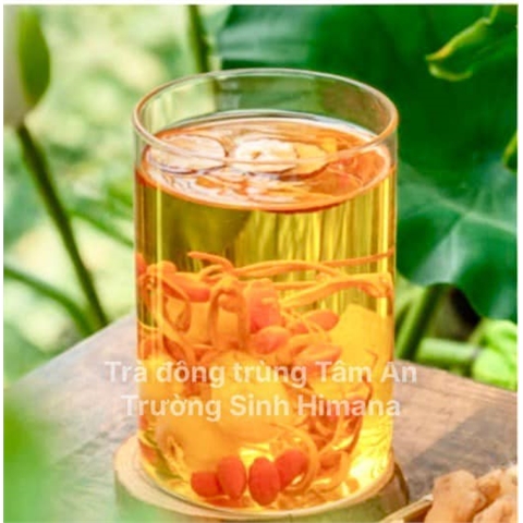 491960063_1229279309198571_2153828414898943926_n